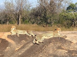 IMG_038693