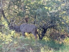 IMG_038708