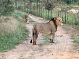 IMG_038718
