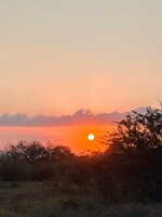 IMG_038727