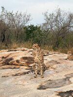 IMG_038754