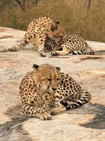 IMG_038756