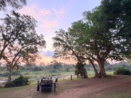 IMG_038771