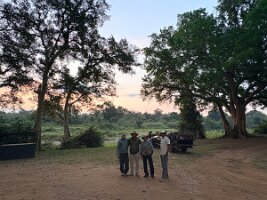 IMG_038775