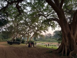 IMG_038784