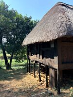 IMG_038816