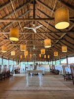 IMG_038822