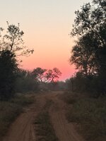 IMG_038904