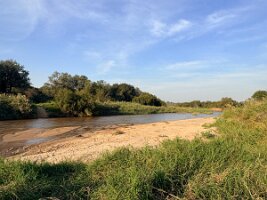 IMG_038942