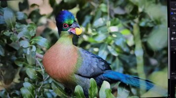 IMG_038958